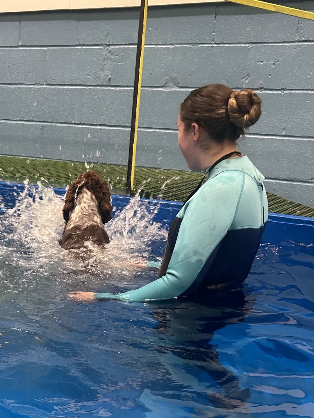 Happy Houndzzz dog 7